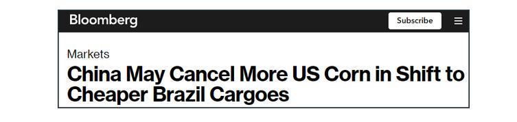 中国买家转向购买巴西玉米，退货美国订单，美媒：损害我们利益