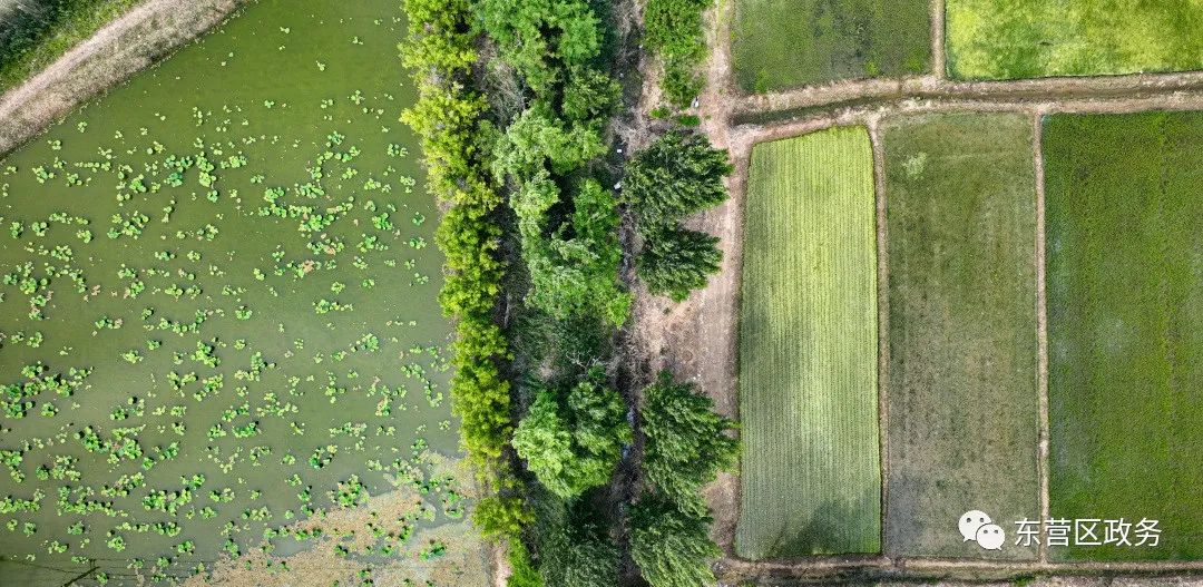 不负好时光田间地头助农忙,不负好时光春耕图