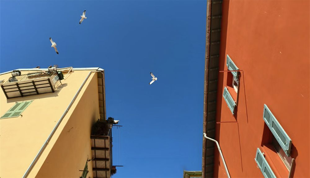 618旗舰手机推荐排行榜,618手机推荐旗舰机最新