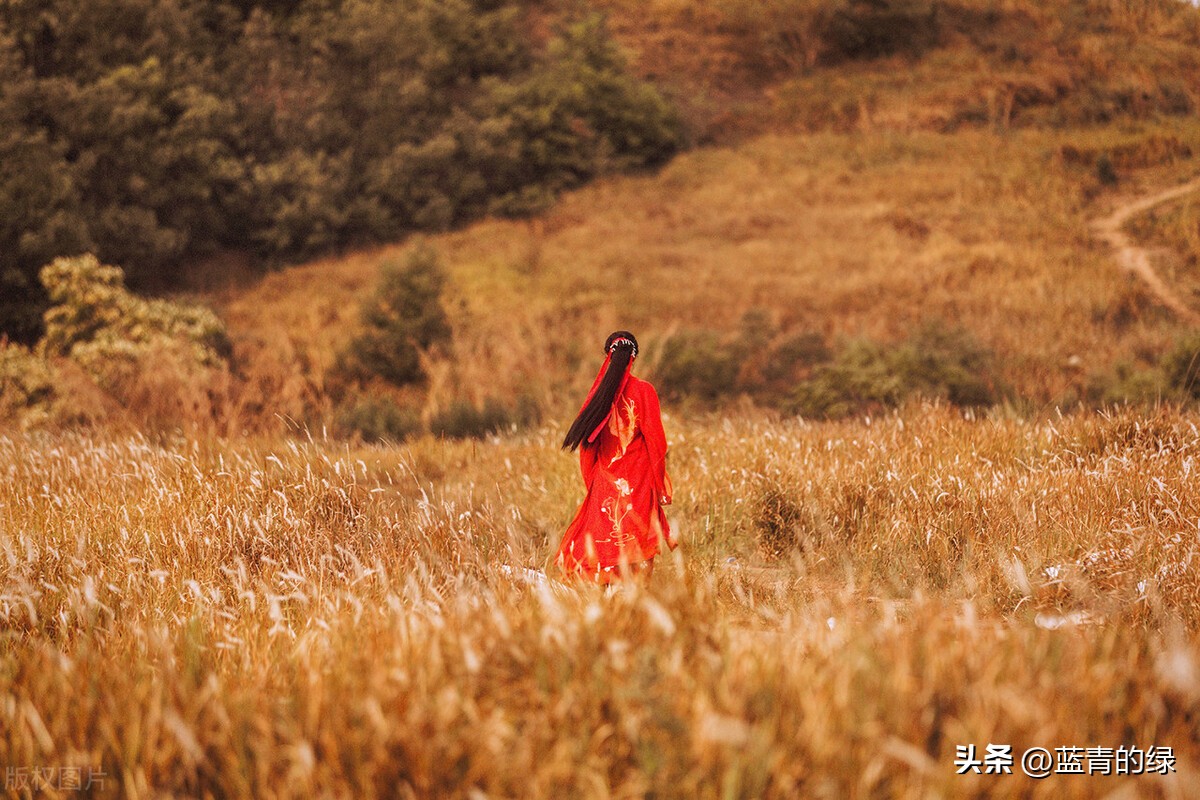 长相思3你的蛊，解了！从今往后，你和我再无一丝关系！