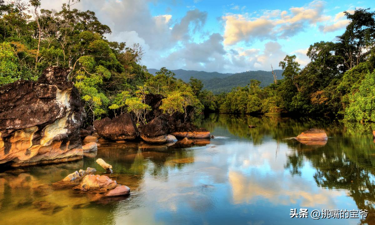 身处非洲，物种孤立进化的马达加斯加，各种奇瓜异果满岛飘香