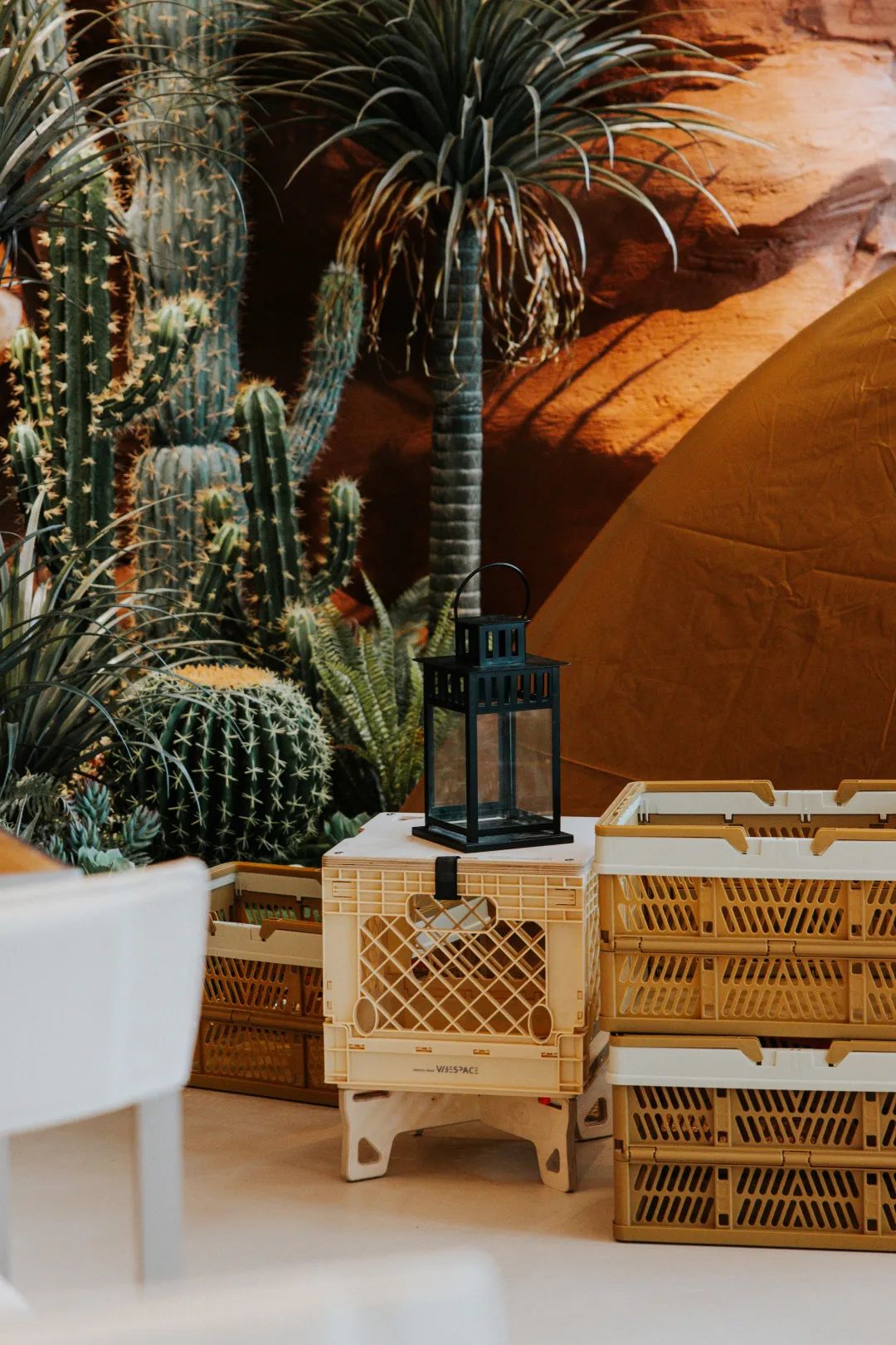 广州露营烧烤不用带装备地点推荐,广州露营地推荐不过夜装备