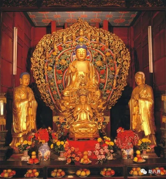 成都拍照打卡景点有哪些,成都必打卡的十大景点排名