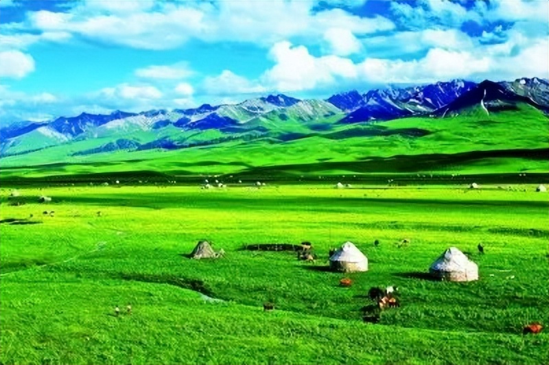 告诉你一个真实的大连,告诉你一个真实的阿根廷