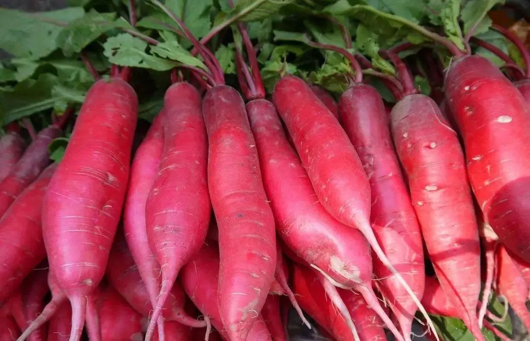 浙江人常吃的蔬菜有哪些,幼儿园常吃的蔬菜有哪些