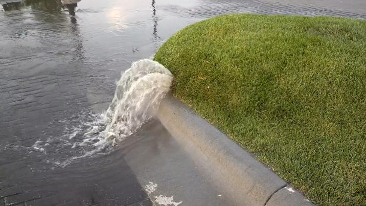 为什么草坪里面有很多水,不可思议的草坪水