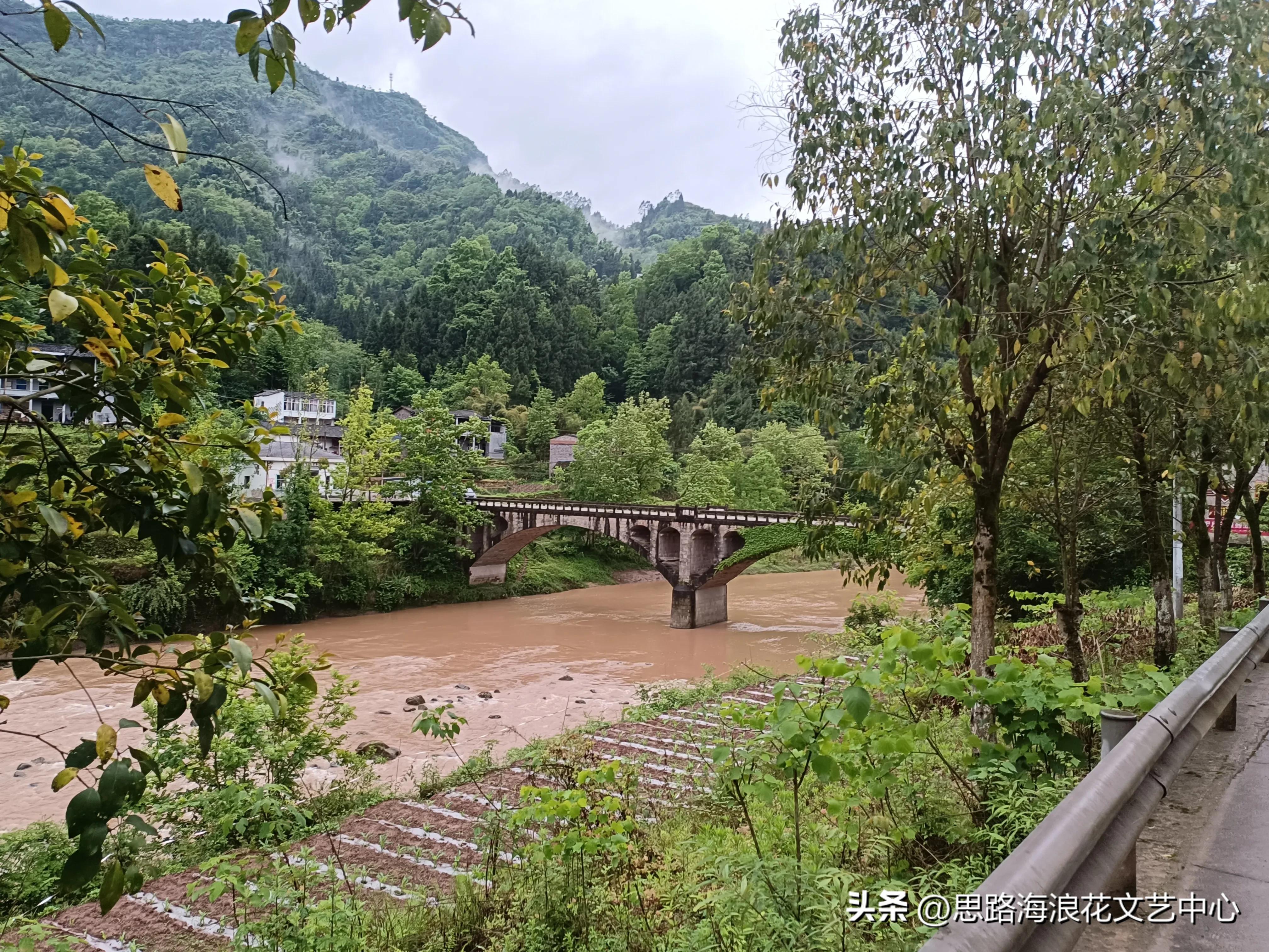 海浪花文艺,海浪花作品