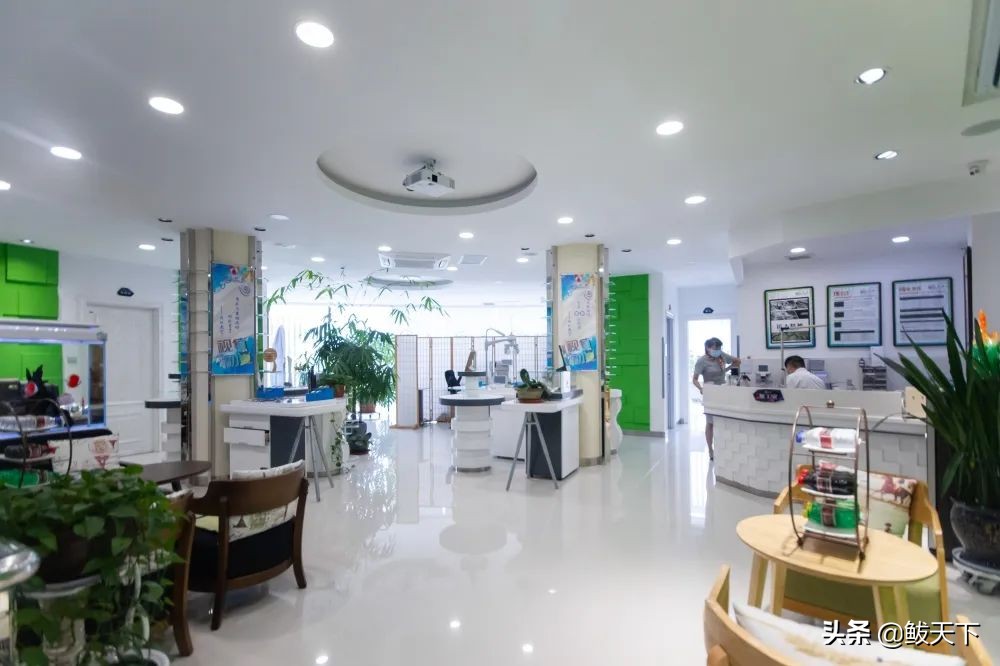 爱眼护眼加高光,爱眼护眼保护视力健康