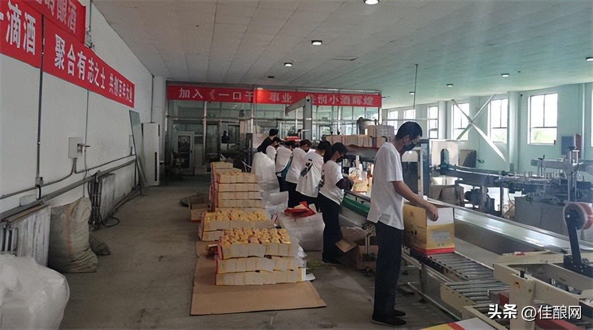 酒业招募合伙人方案,合伙人招募令