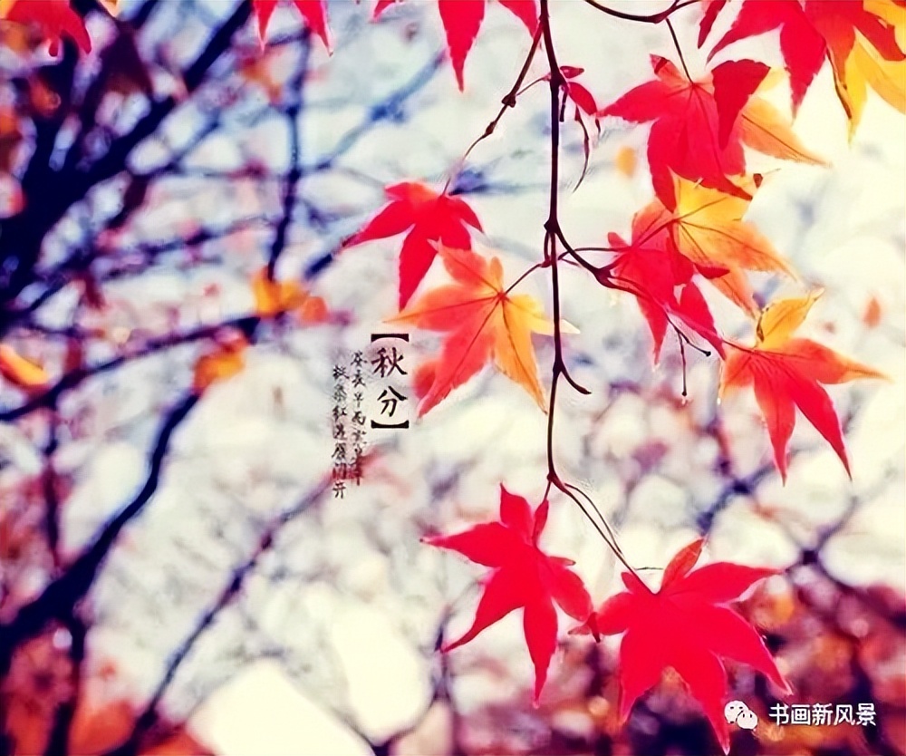 24节气秋分手抄报内容,24节气秋分闽南语解说