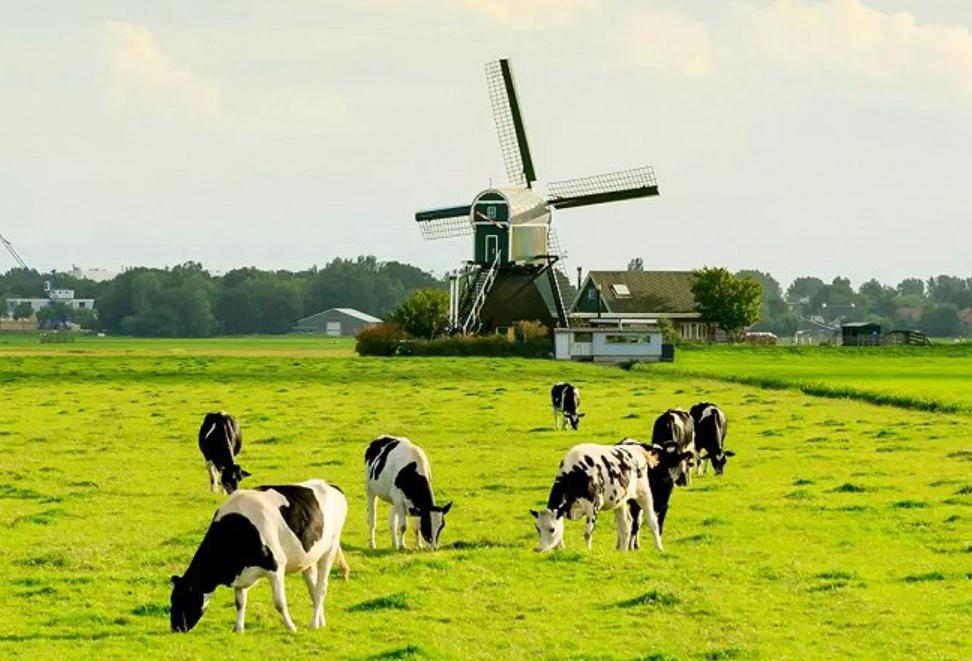 鏃ユ湰涓轰粈涔堝湪灞变笢绉熷湴,鏃ユ湰涓轰粈涔堝湪涓浗绉熷湴