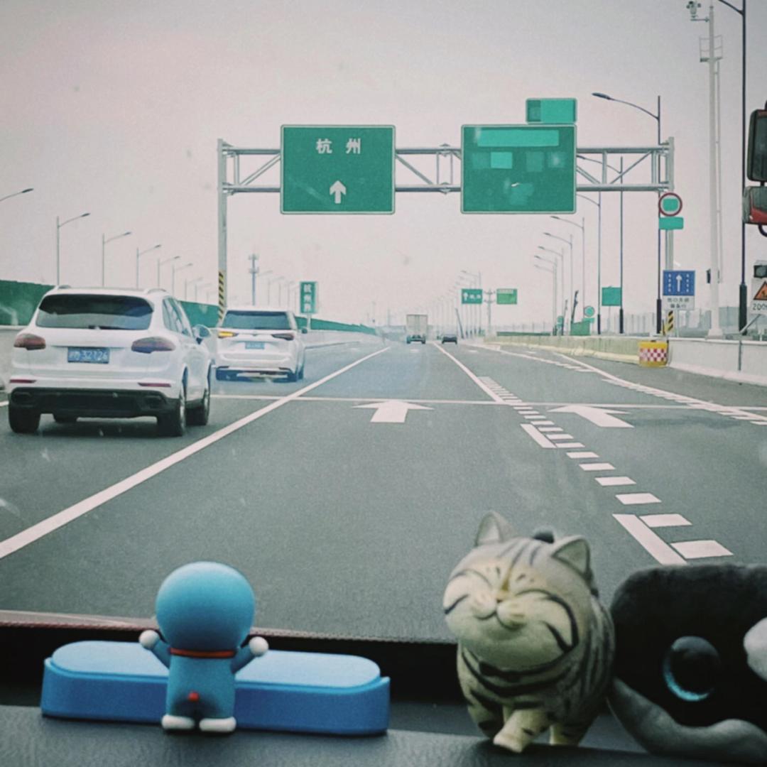 综艺人的“自救”，不只是录制地从“上海”到“长沙杭州”|调查