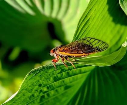 这些“一字题”诗词，题目只有一个字，却依然流传千古，都是名作