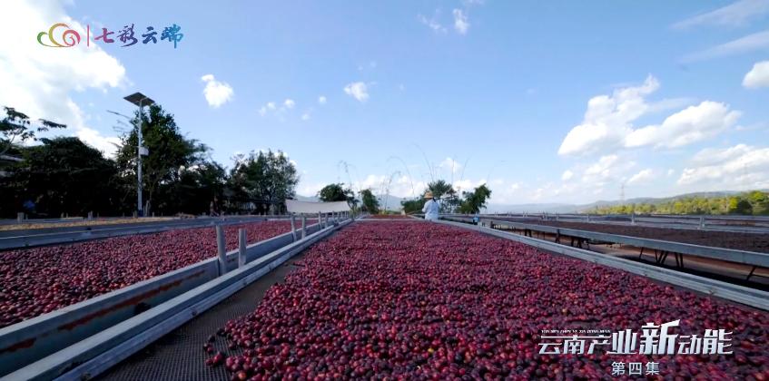 云视讯评论,网评聚焦云南高质量跨越式发展