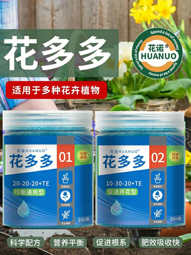 红色金鱼吊兰怎样表示要开花,金鱼吊兰开花初期是什么样子