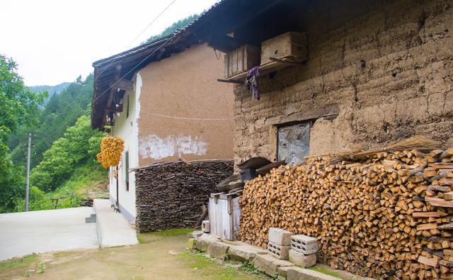 巴音博罗散文集,散文作者巴音博罗简介