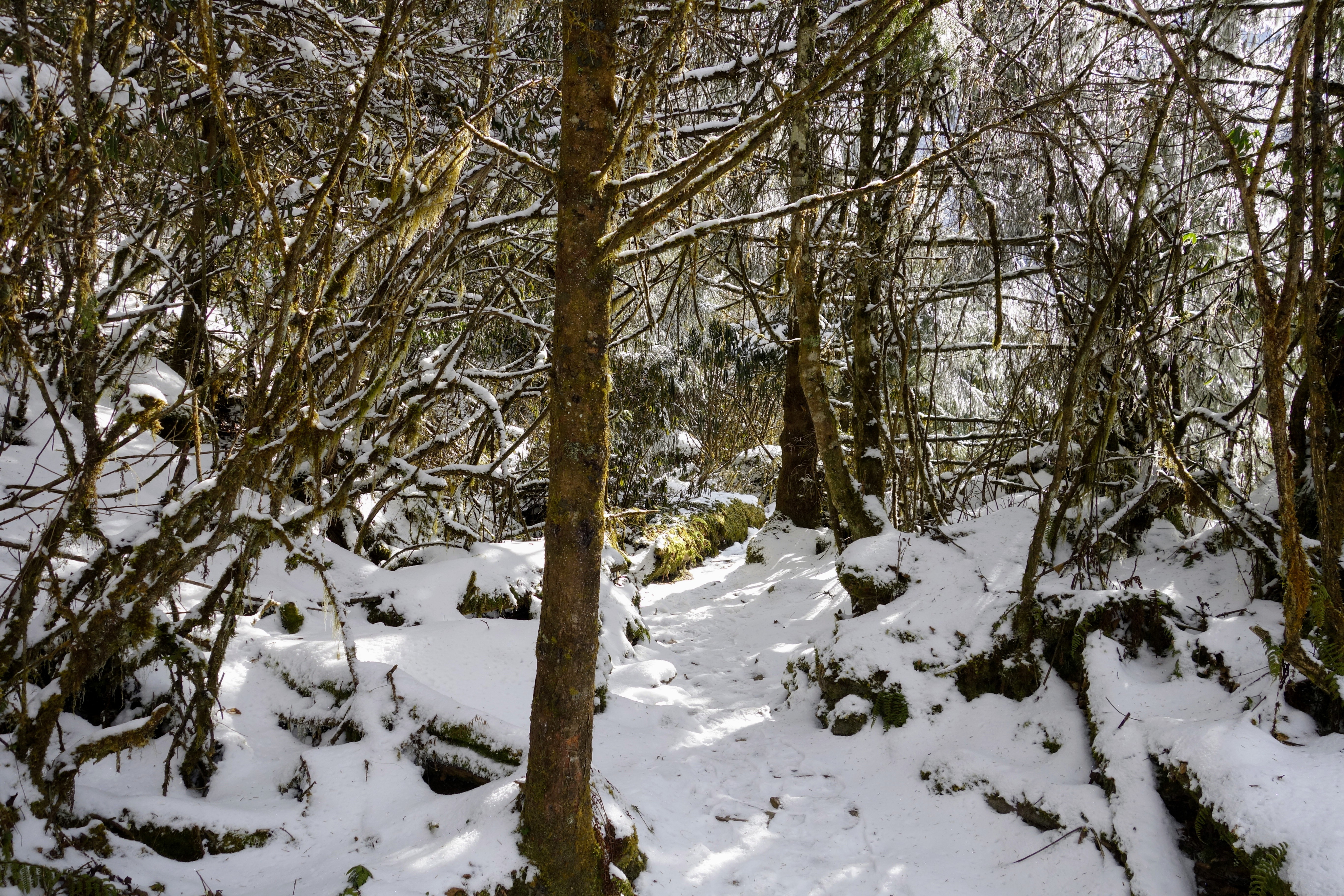 川西圣境游玩攻略,甘孜燕子沟攻略