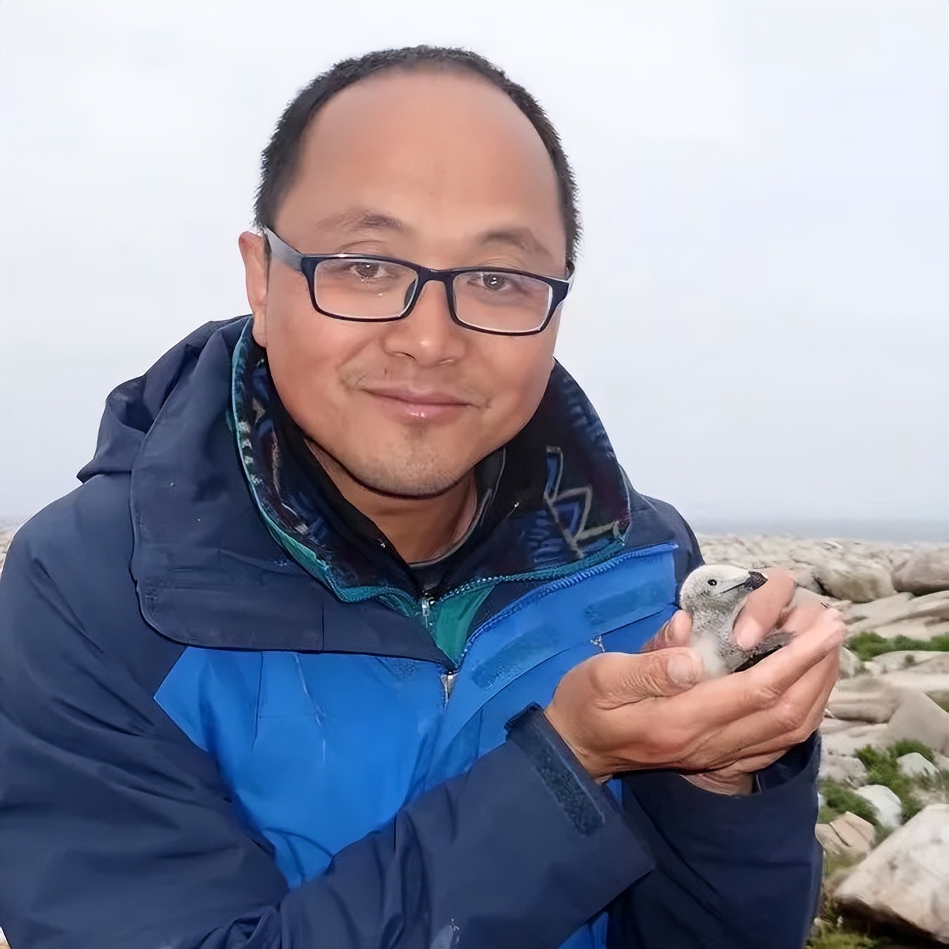 鸟人图鉴│陈水华、范忠勇追寻“神话之鸟”——中华凤头燕鸥