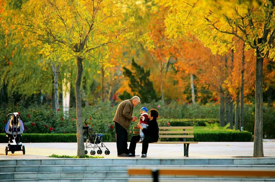 我爱我的家乡滨州市,我的家乡在滨州的作文
