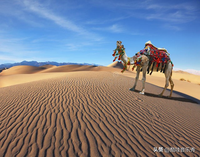 网红伤感情歌抖音神曲23首,抖音网红歌曲100首完整版