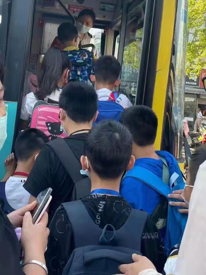 合肥南门小学森林城校区小学报名,合肥市南门小学森林城南区