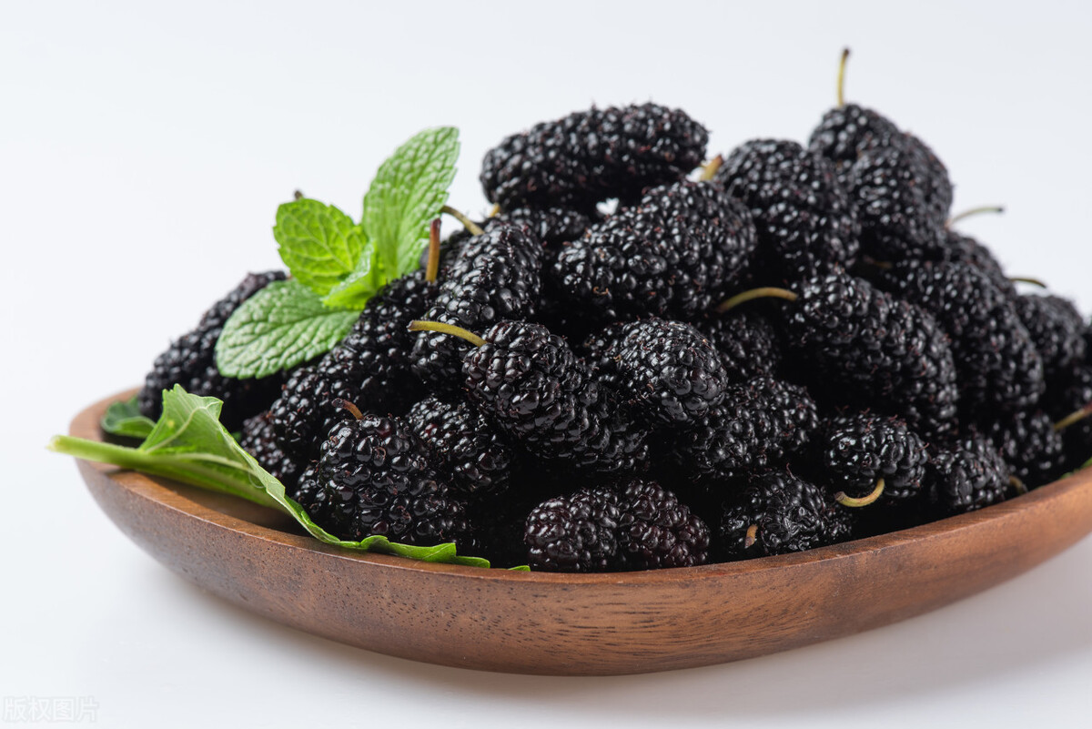 同学情（四）：拉练随记（长途跋涉规律与奥秘）