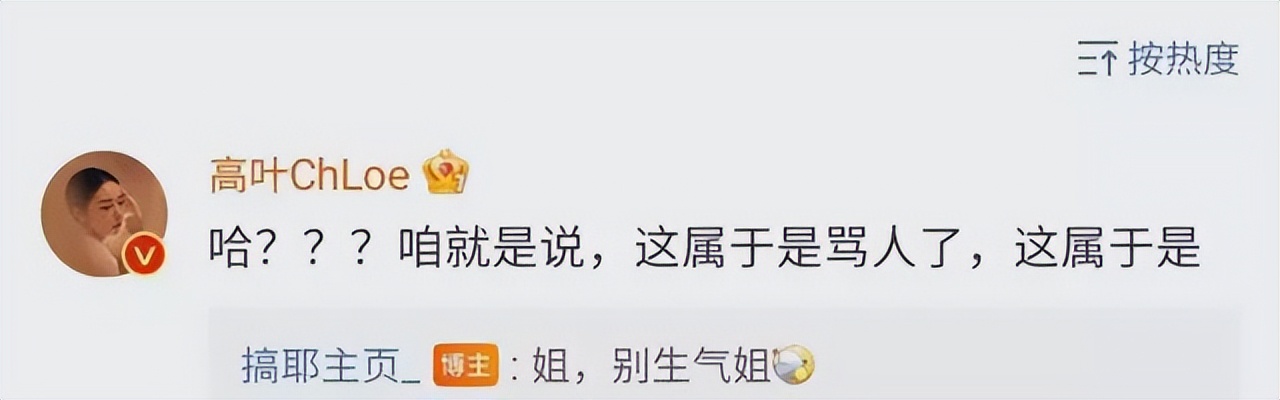 从爆红到现出原形,高叶从爆红到打回原形