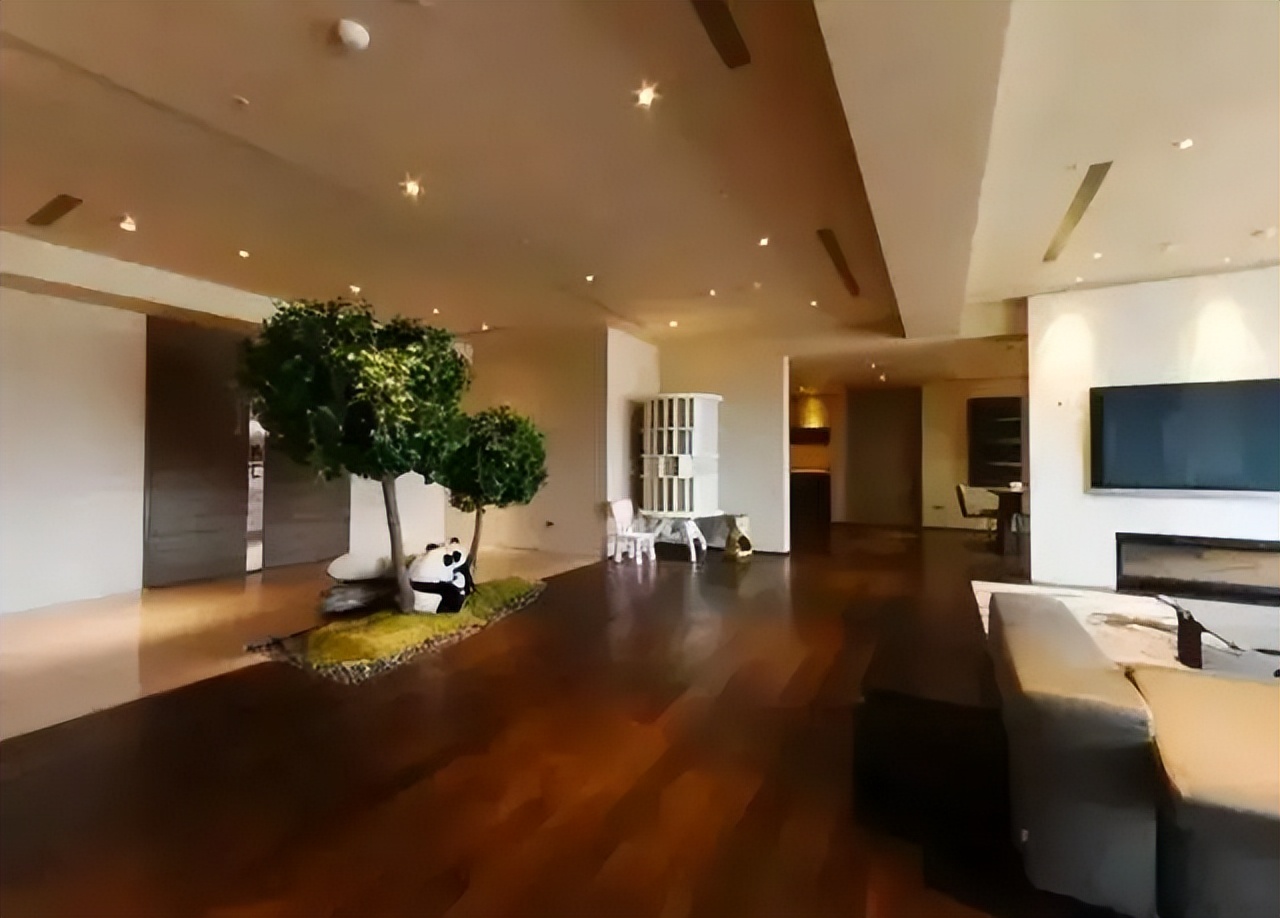 大s在哪晒汪小菲2600万借据,大s台北豪宅是汪小菲买的吗