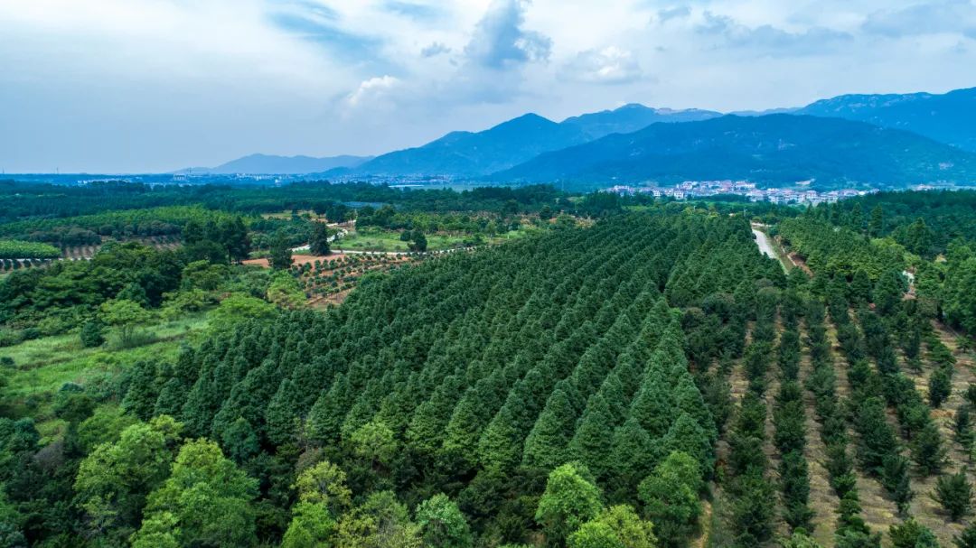 南昌市农业发展投资有限公司,南昌市林业投资发展