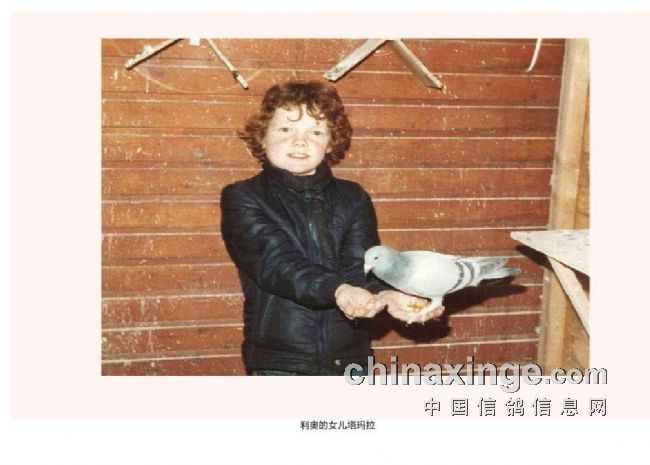 瀹岀編涔嬬溂,瀹岀編涔嬬溂鍏ㄦ枃鍏嶈垂鍦ㄧ嚎闃呰