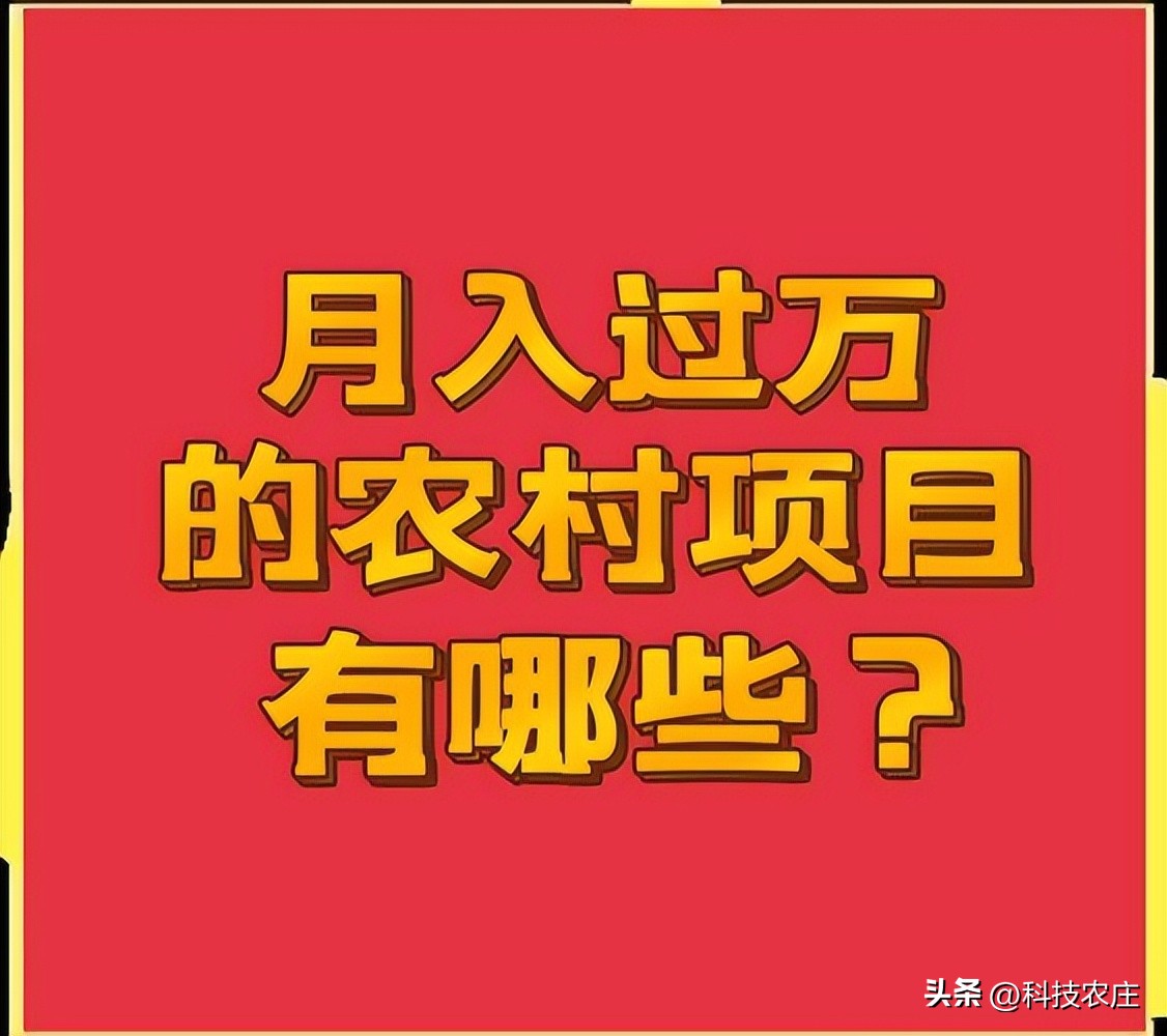 不想打工了想回老家做什么生意好,现在不想上班想回农村种地