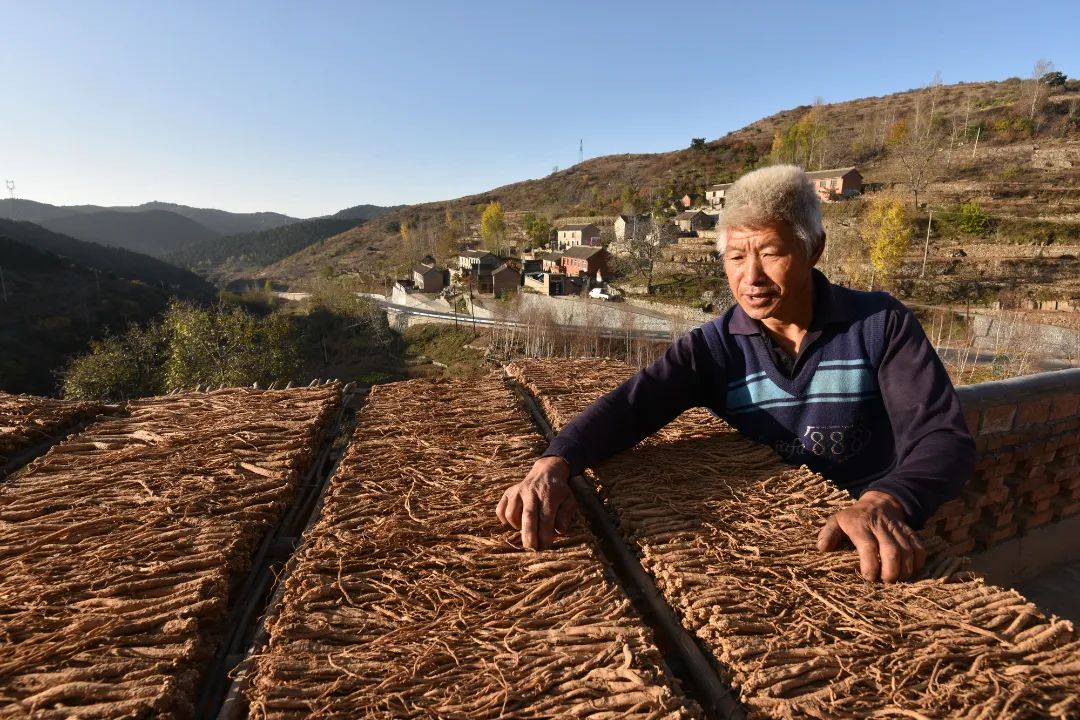 迎接党的20大美术作品,喜迎二十大乡村摄影展