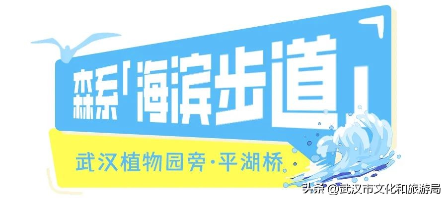 武汉东湖免费看海,武汉看海的最佳地方