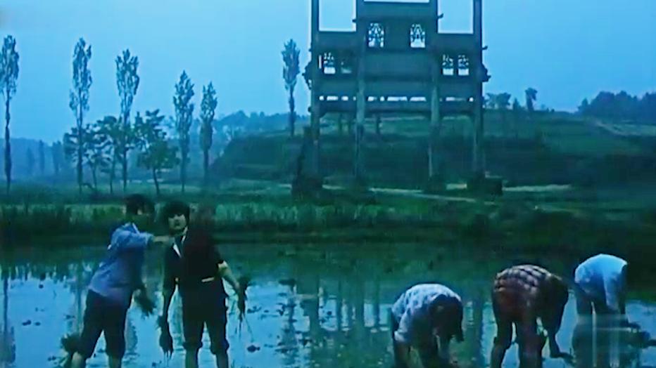 旧社会妇女悲惨命运的老电影,旧社会妇女悲惨命运的电影