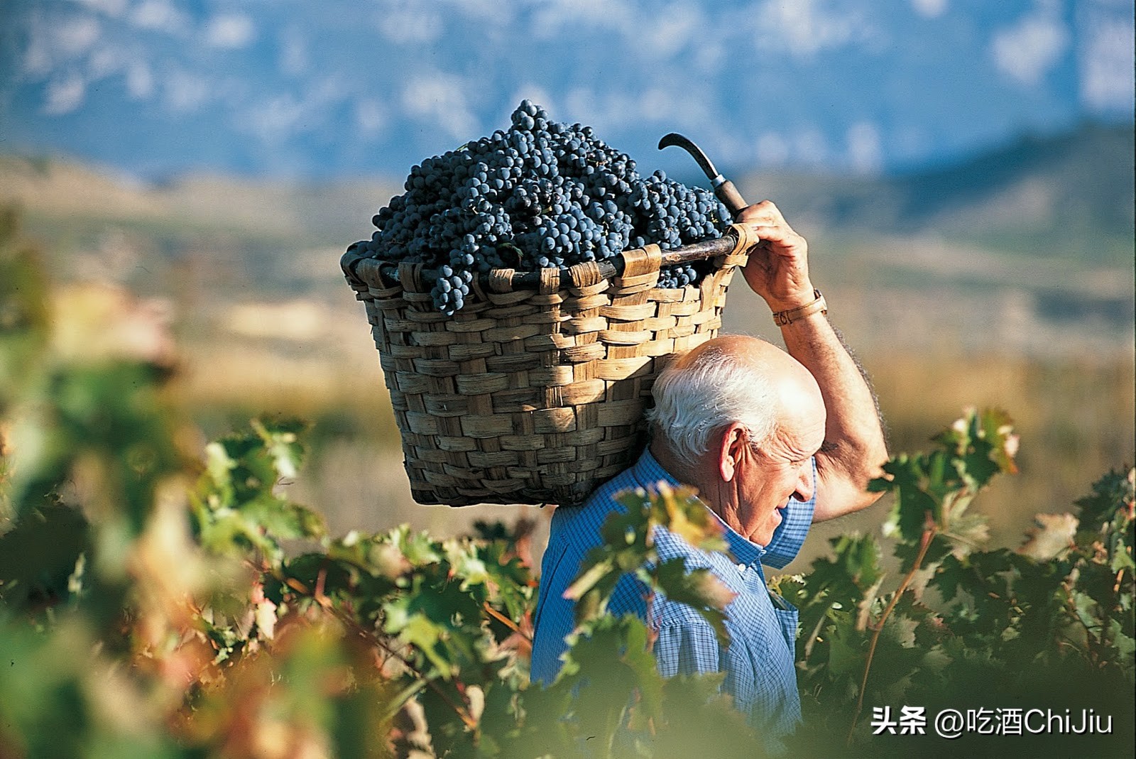 热红酒为什么火了 (欧洲热红酒)