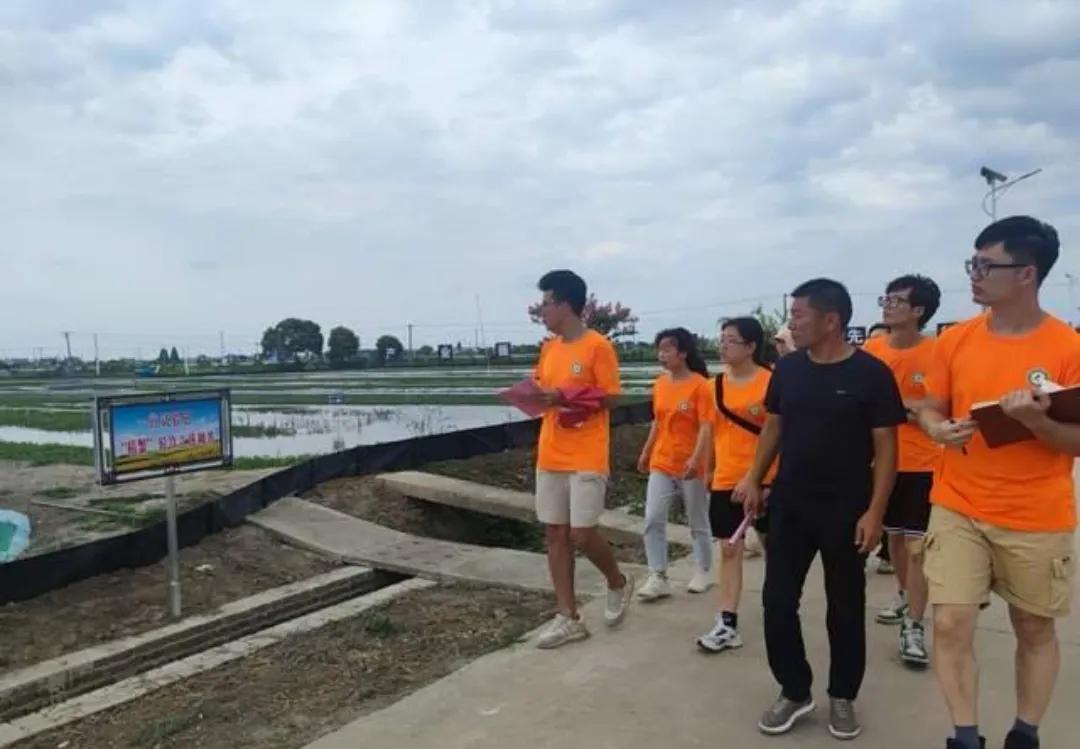 乡村振兴助推乡村振兴,推动乡村振兴焕发乡村活力