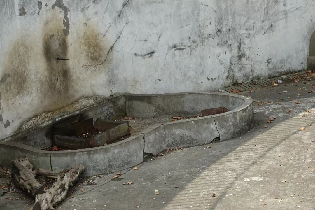 泰州动物园在哪里,泰州动物园在哪