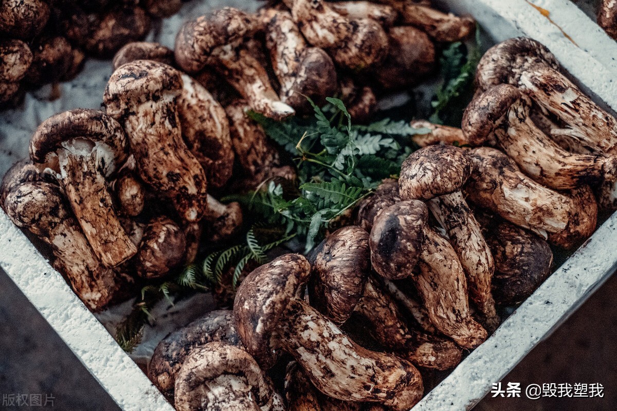 弥勒大海旅居8号院,云南弥勒旅居养老基地