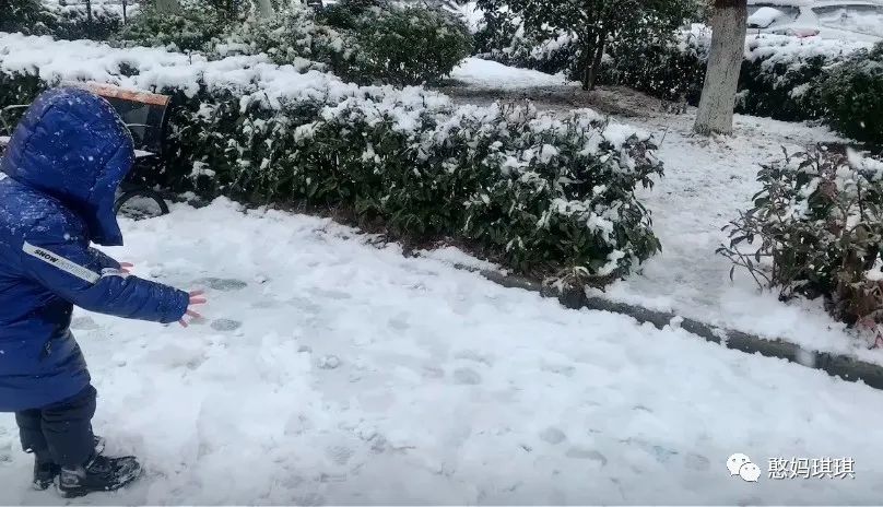 no.14的意思,no.14啥意思