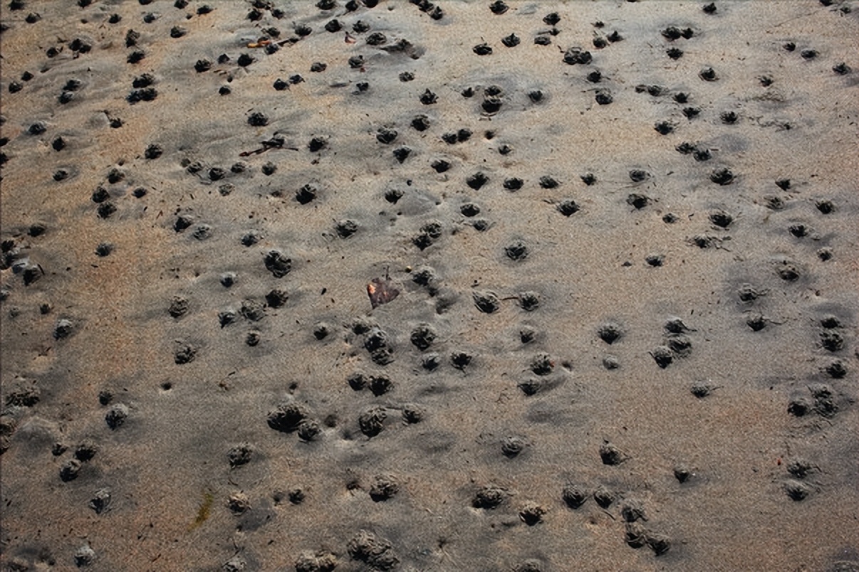 海水养殖产业发展现状调查,中国海水养殖业的发展历程
