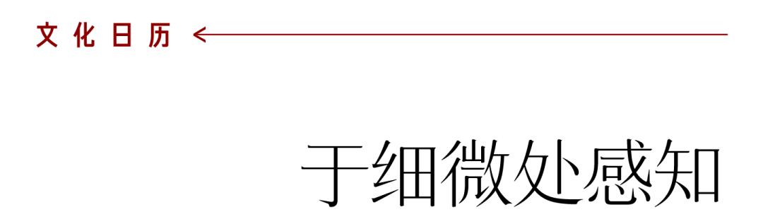 coco李玟不潮不用花钱是哪一期,coco李玟对人生的态度