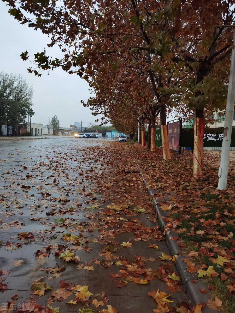 有没有讨厌秋天的人,我讨厌秋天