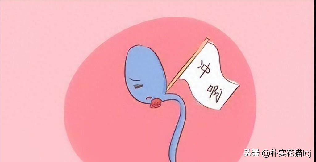 精子受孕未成功后去哪了,没有成功受孕的精子都去哪里了