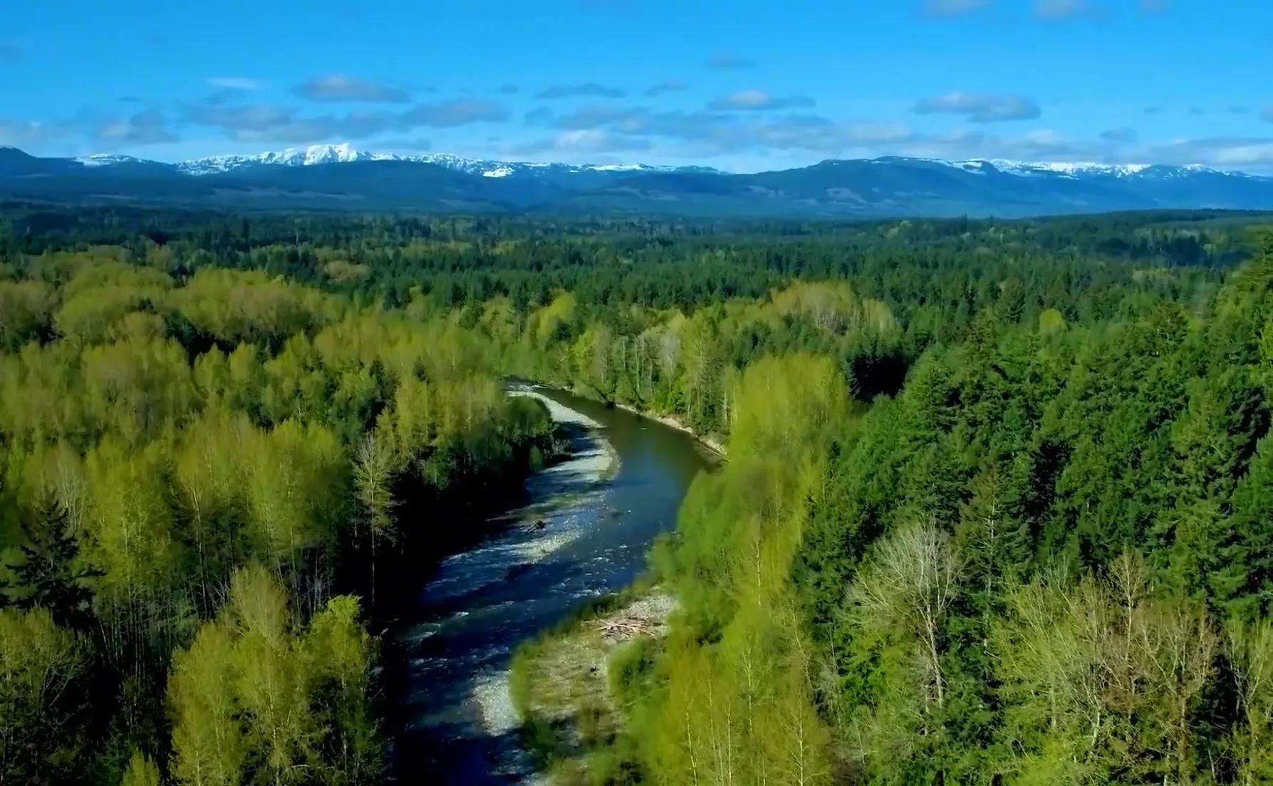 周易解读8,白话易经和易经有什么不同