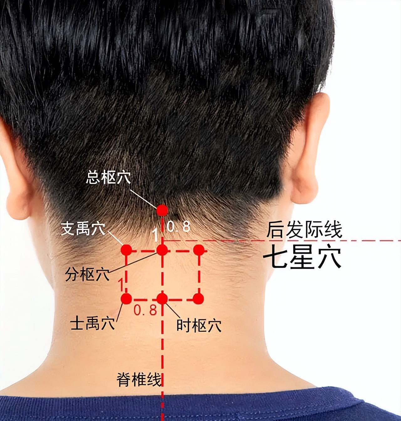 中医治小儿厌食针灸穴位,董氏针灸治疗帕金森处方