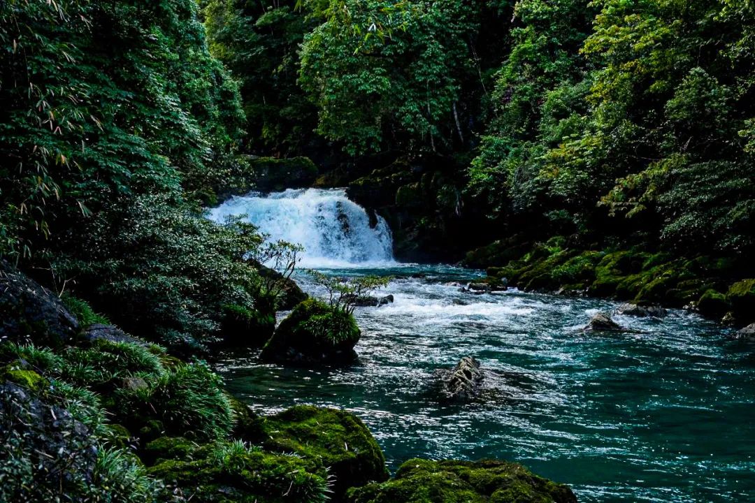 夏天最爱吃的美食,贵州酸汤火锅去哪吃最正宗