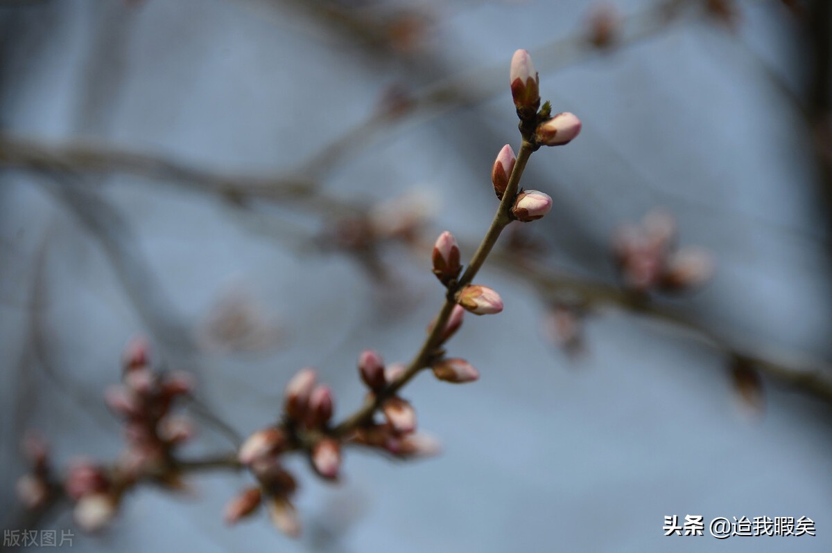 被偏爱的一方总是有恃无恐,被偏爱的总是有恃无恐文案