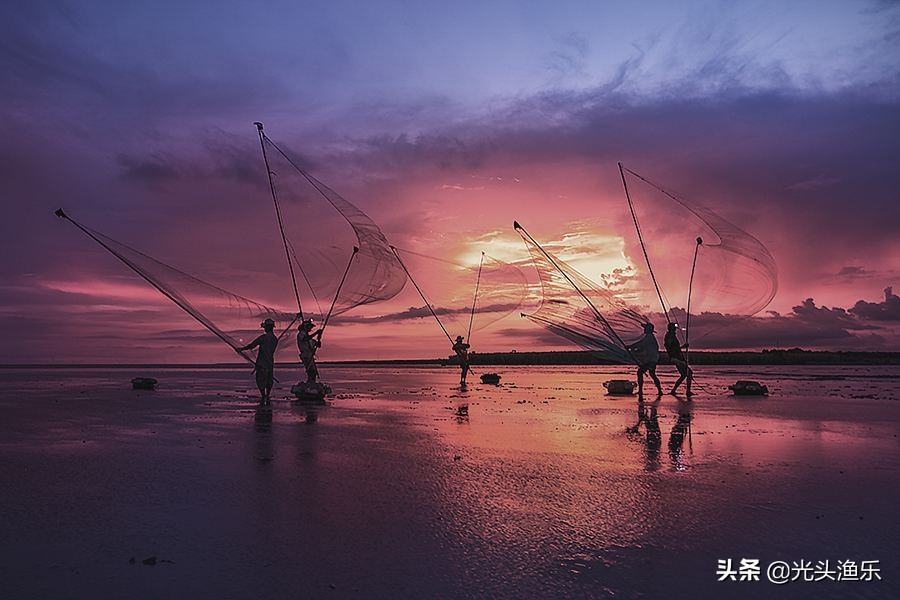 4千斤野生黄鱼被捕捞,巨型鳐鱼被抓到