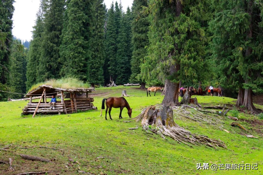 新疆伊犁自由行攻略,伊犁自由行攻略