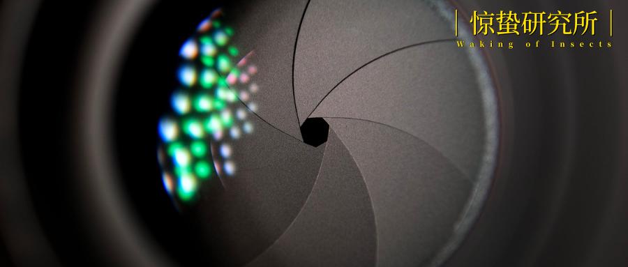 年轻人喜好东西,年轻人爱什么东西